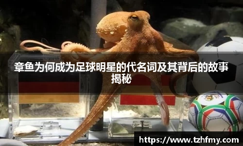 章鱼为何成为足球明星的代名词及其背后的故事揭秘